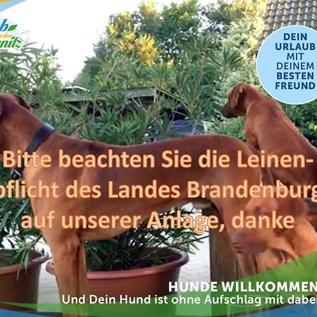 Familien-Suite-Im-Wald-Am-See Bork 외부 사진